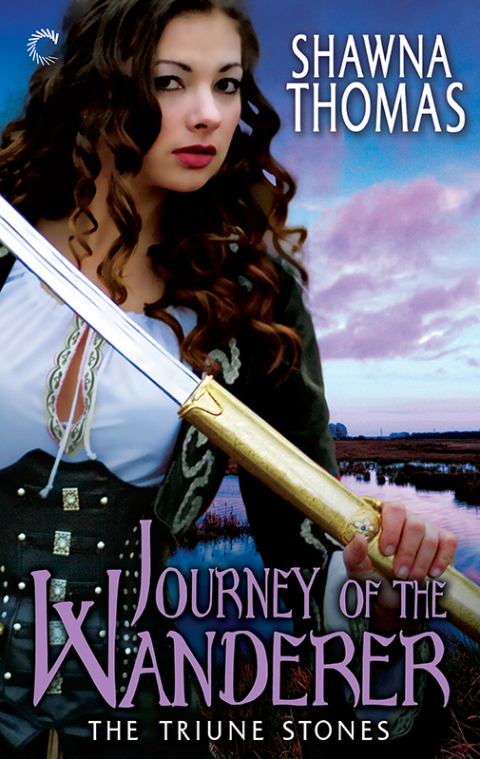 Cover image for book Journey of the Wanderer