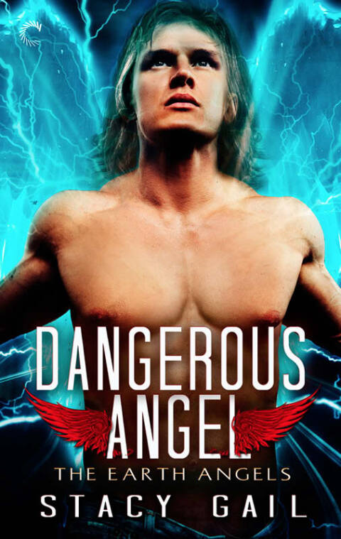 Cover image for book Dangerous Angel