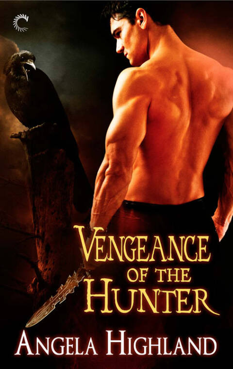 Cover image for book Vengeance of the Hunter