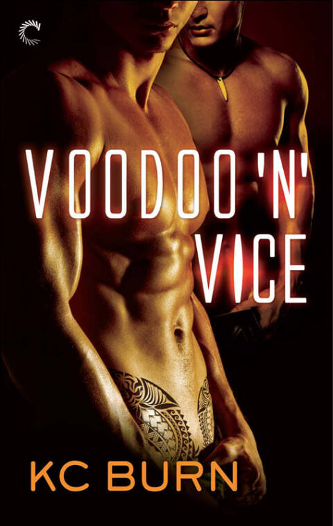 Cover image for book Voodoo 'n' Vice