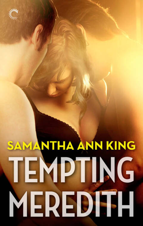 Cover image for book Tempting Meredith