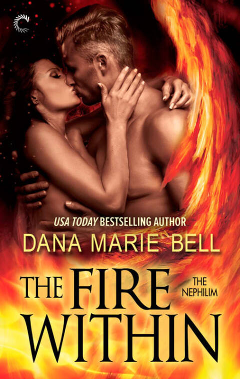 Cover image for book The Fire Within