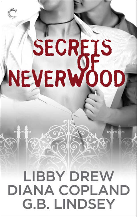 Cover image for book Secrets of Neverwood