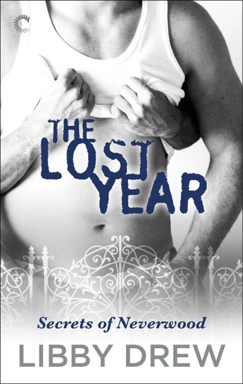Cover image for book The Lost Year