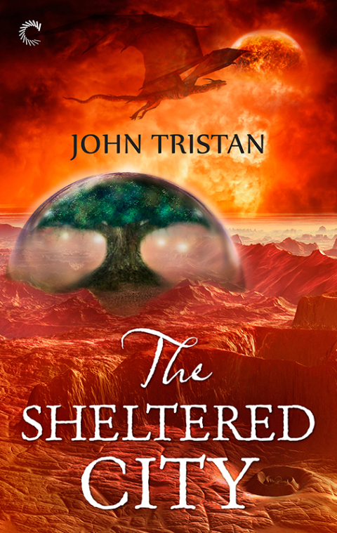 Cover image for book The Sheltered City