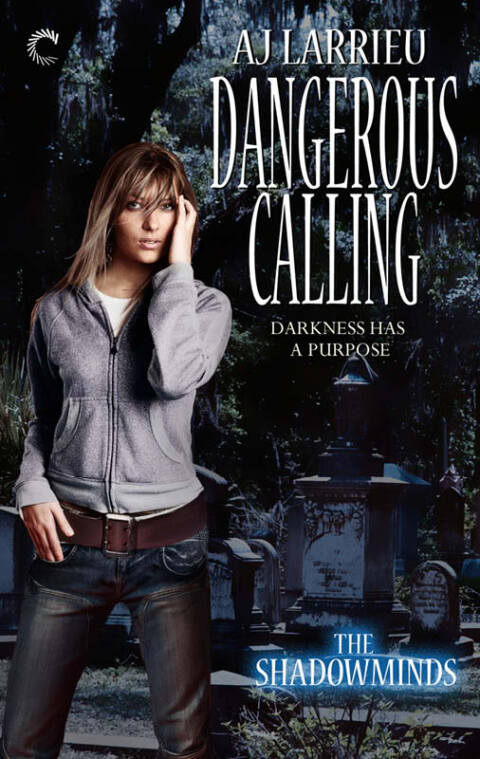 Cover image for book Dangerous Calling