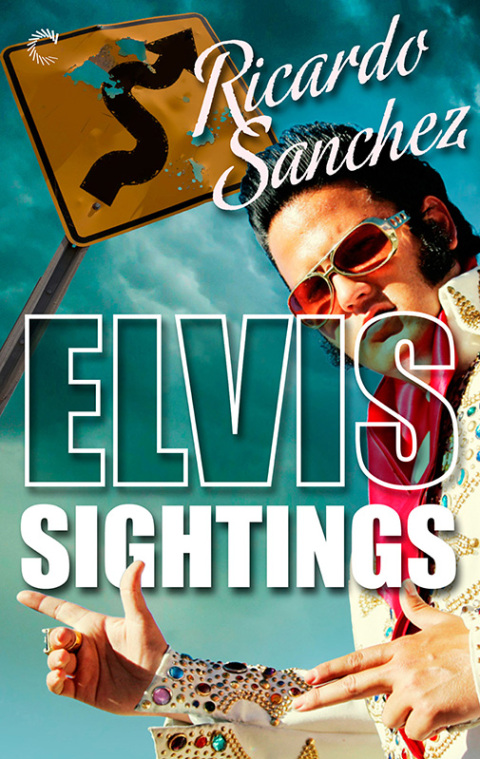 Cover image for book Elvis Sightings
