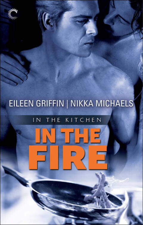 Cover image for book In the Fire