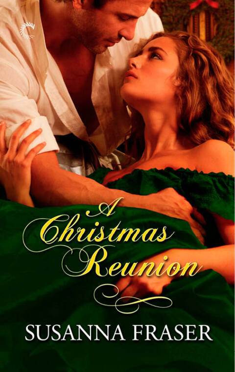 Cover image for book A Christmas Reunion