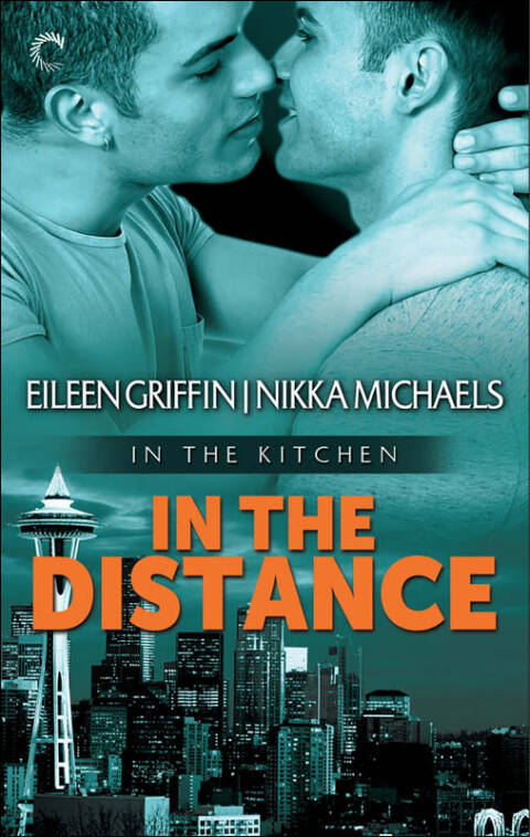 Cover image for book In the Distance