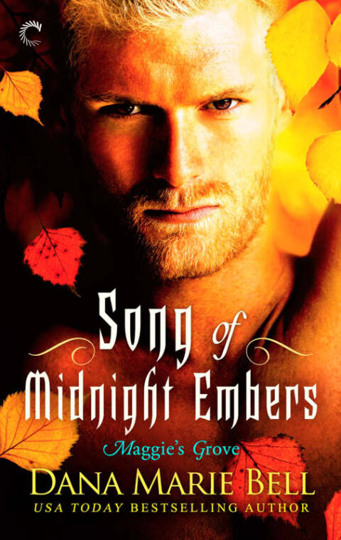 Cover image for book Song of Midnight Embers