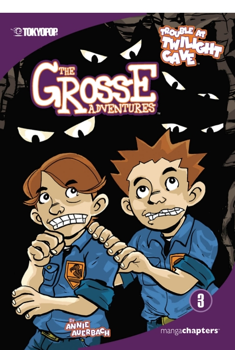 Cover image for book Trouble at Twilight Cave