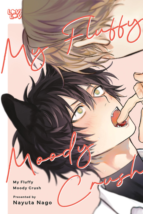 Cover image for book My Fluffy Moody Crush