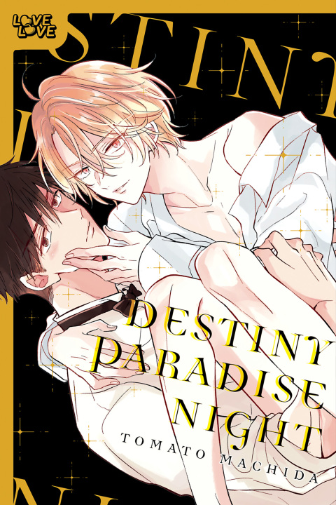 Cover image for book Destiny Paradise Night