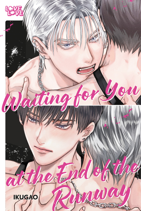 Cover image for book Waiting for You at the End of the Runway