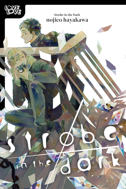Cover image for book Strobe in the Dark