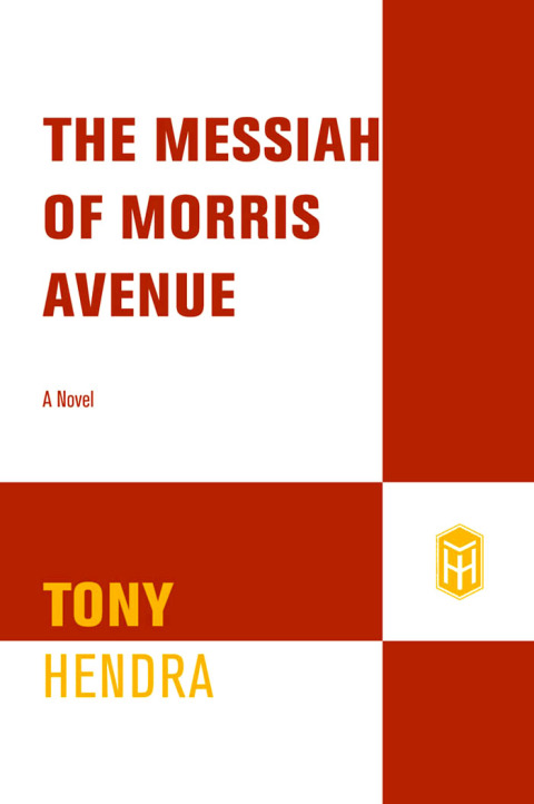 Cover image for book The Messiah of Morris Avenue