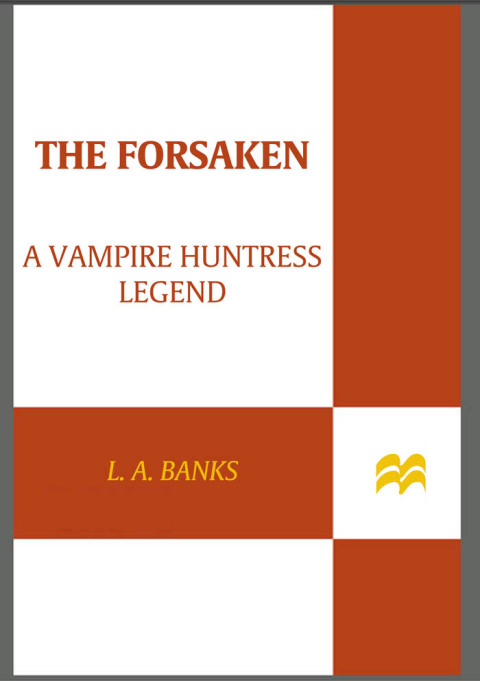 Cover image for book The Forsaken