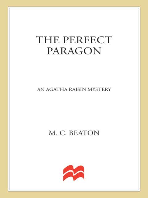 Cover image for book The Perfect Paragon