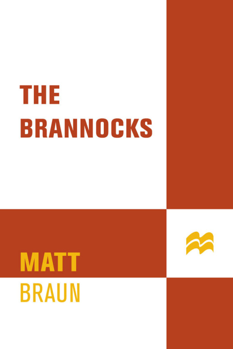 Cover image for book The Brannocks