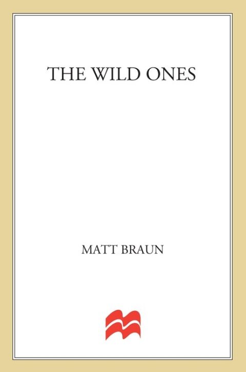 Cover image for book The Wild Ones