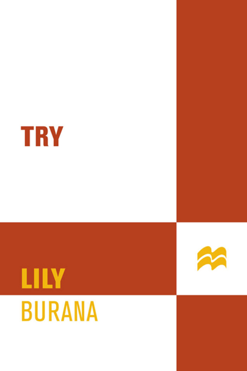 Cover image for book Try