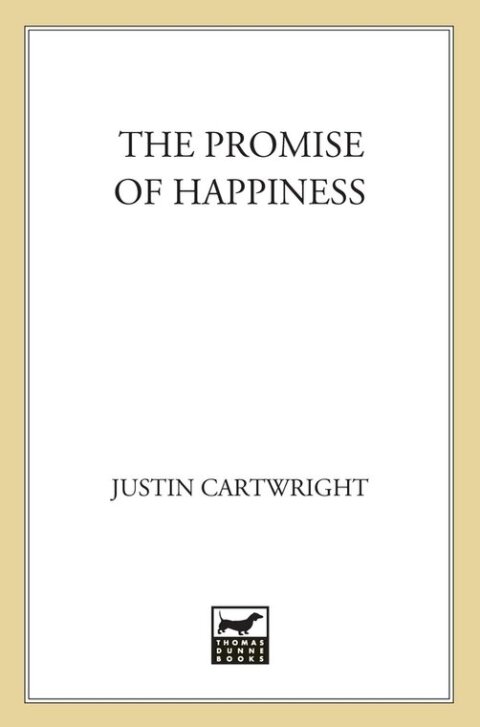 Cover image for book The Promise of Happiness