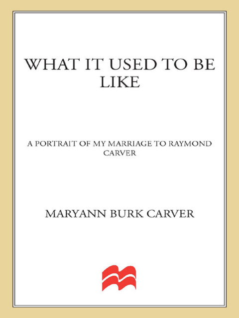 Cover image for book What It Used to Be Like