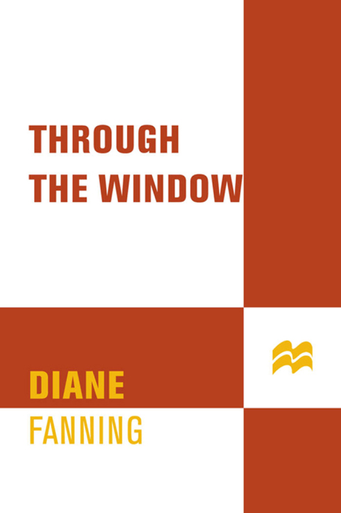 Cover image for book Through the Window