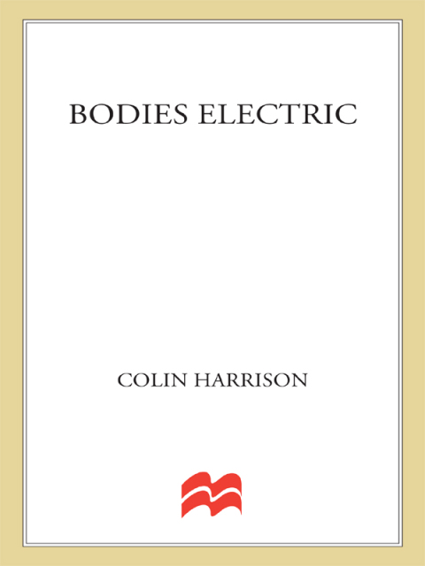 Cover image for book Bodies Electric