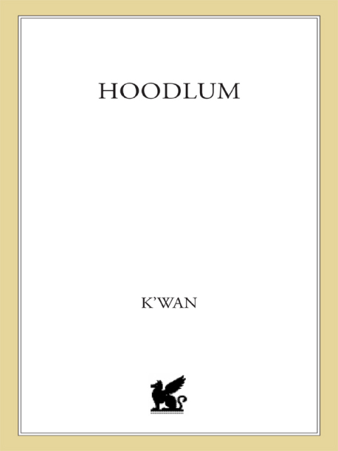 Cover image for book Hoodlum