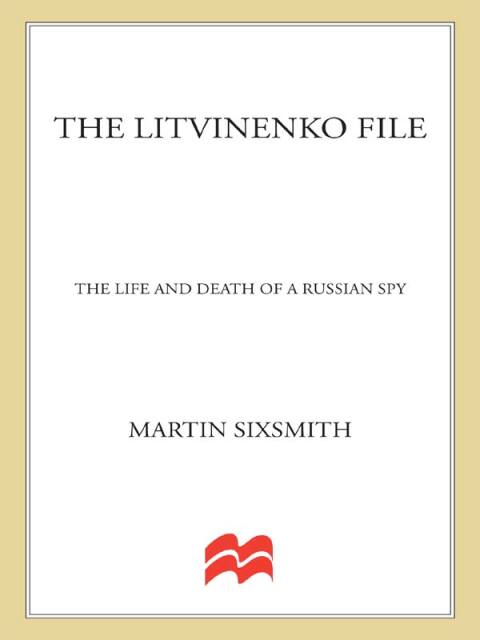 Cover image for book The Litvinenko File