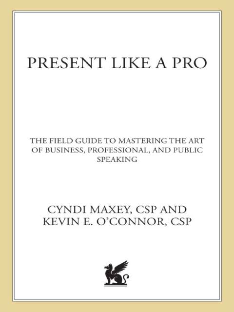 Cover image for book Present Like a Pro