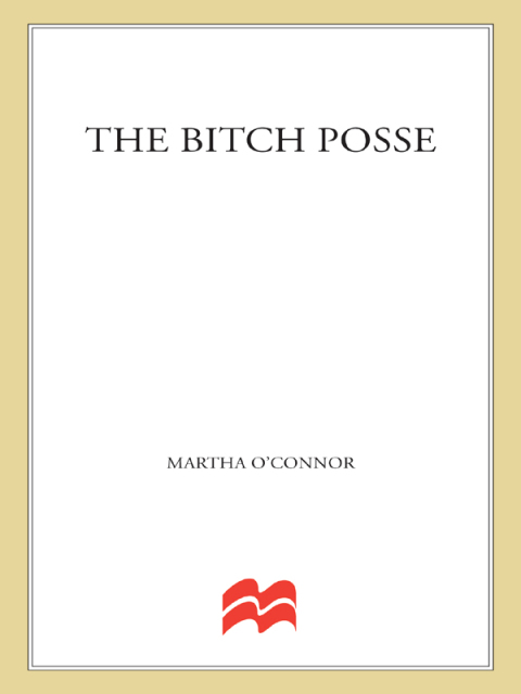 Cover image for book The Bitch Posse