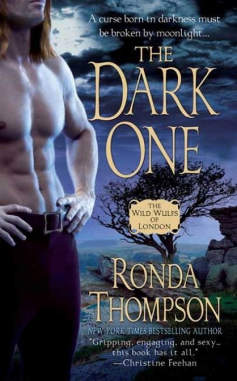 Cover image for book The Dark One