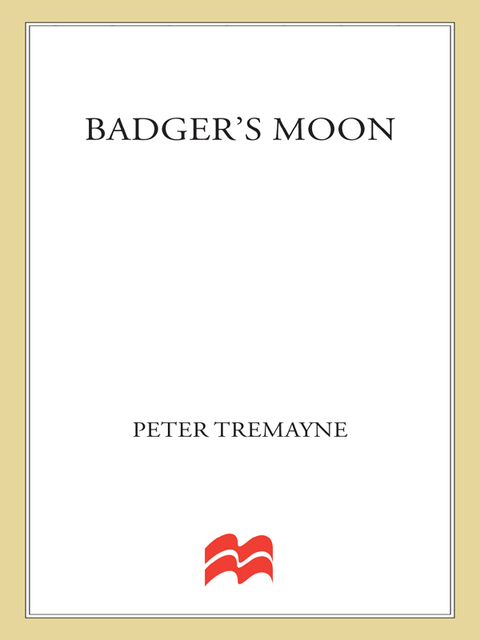 Cover image for book Badger's Moon