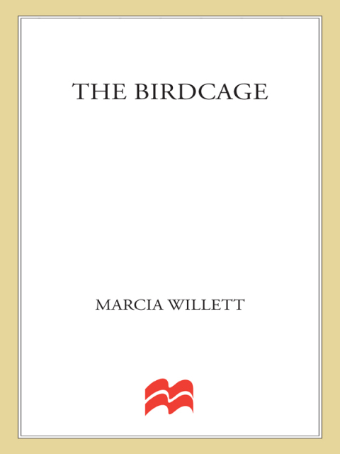 Cover image for book The Birdcage