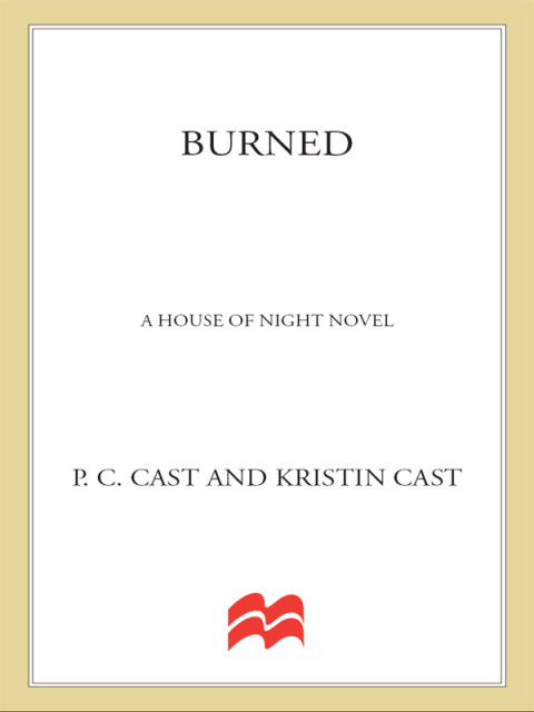 Cover image for book Burned