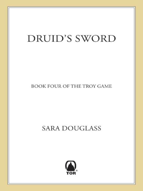 Cover image for book Druid's Sword