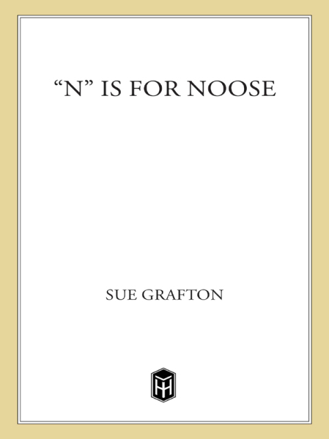 Cover image for book "N" is for Noose