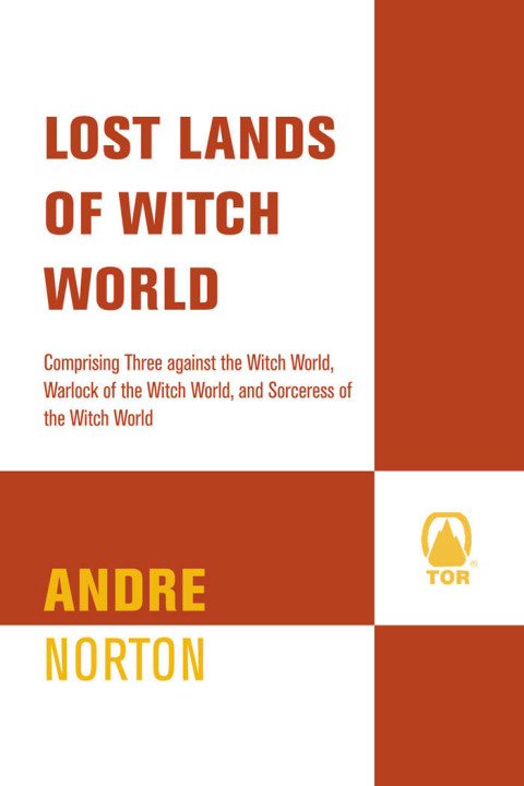 Cover image for book Lost Lands of Witch World