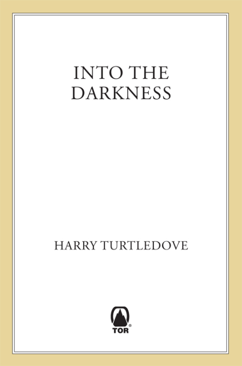 Cover image for book Into the Darkness