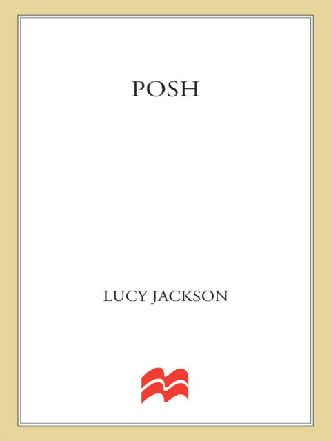 Cover image for book POSH