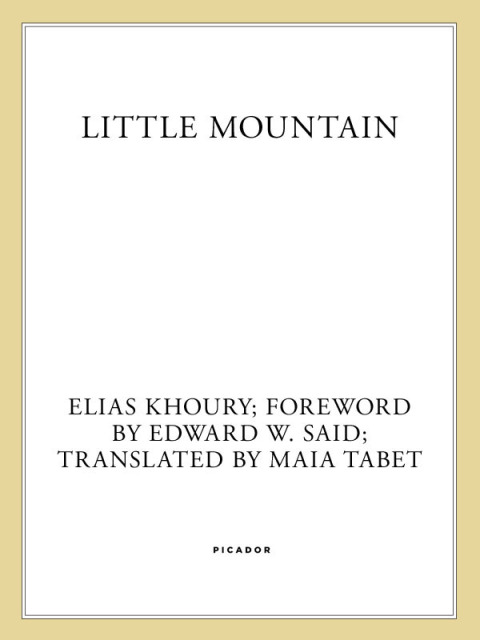 Cover image for book Little Mountain