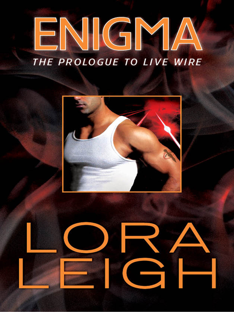 Cover image for book Enigma