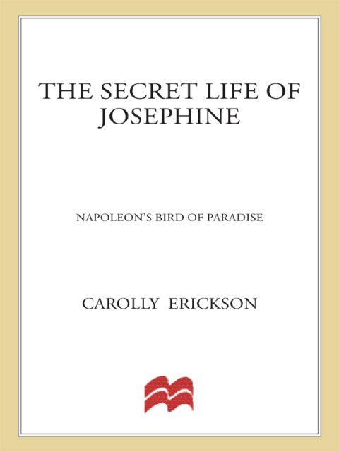 Cover image for book The Secret Life of Josephine