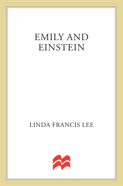 Cover image for book Emily & Einstein