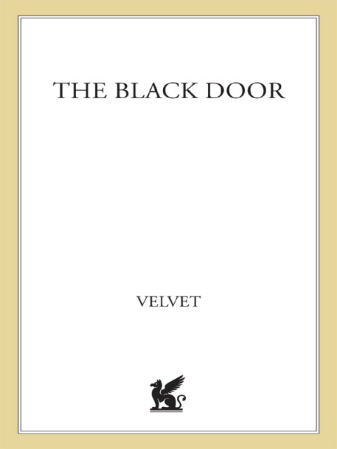 Cover image for book The Black Door