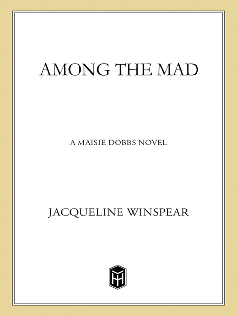 Cover image for book Among the Mad