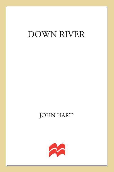 Cover image for book Down River